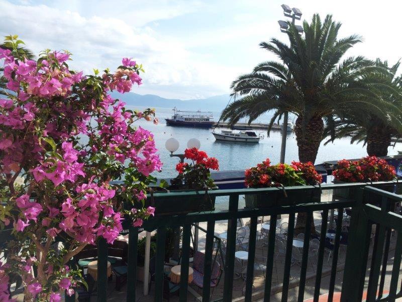 Apartman Iris Gradac  Extérieur photo